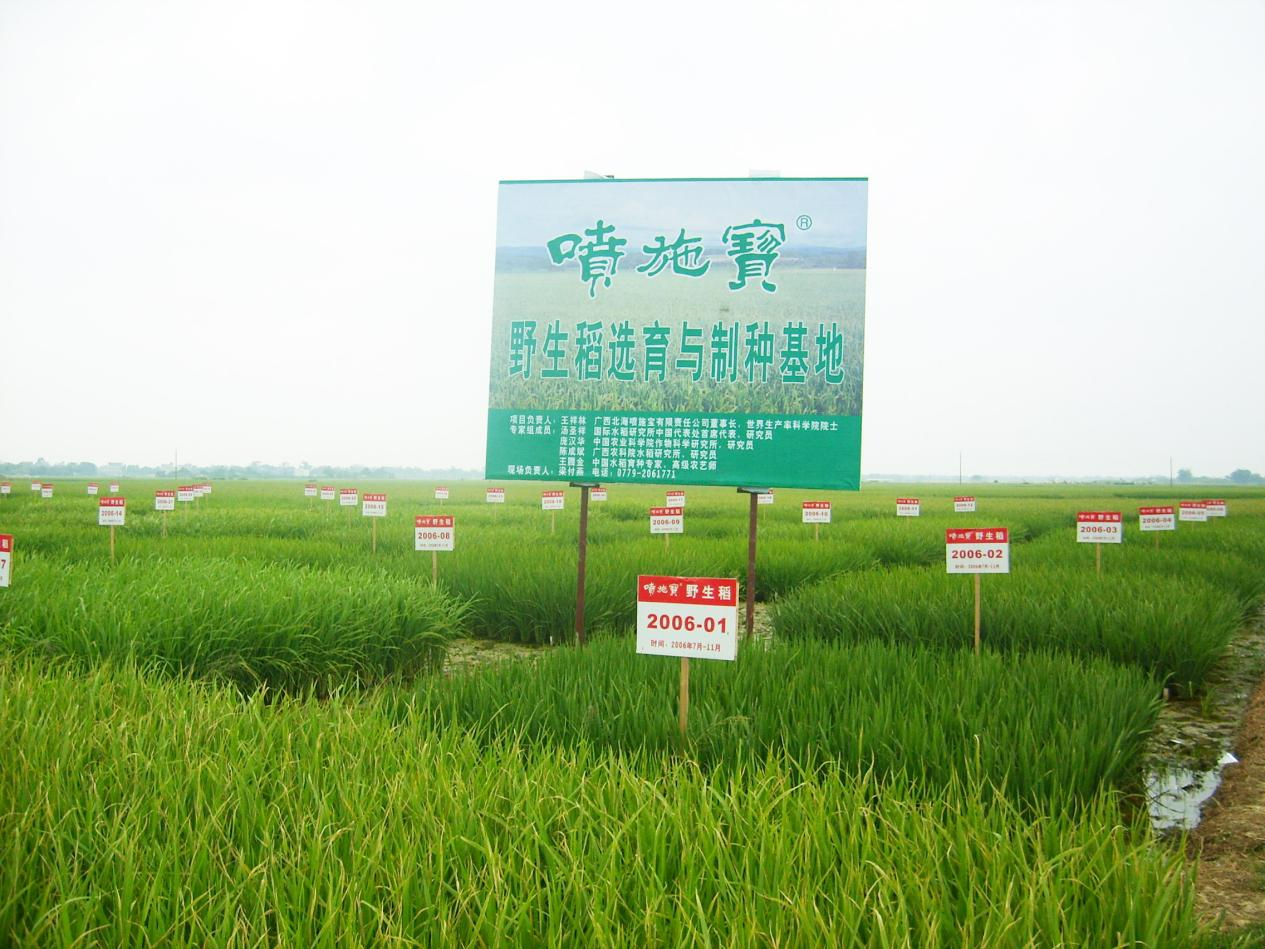 图片 4.png 图片 4.png